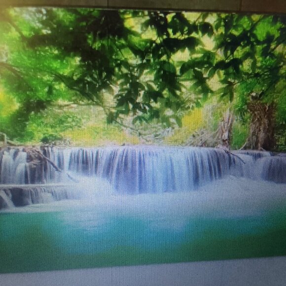 "Tropical landscape" well-done canvas oil painting, brand new
